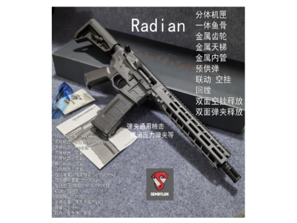 RADIAN MOD (GRAY)
